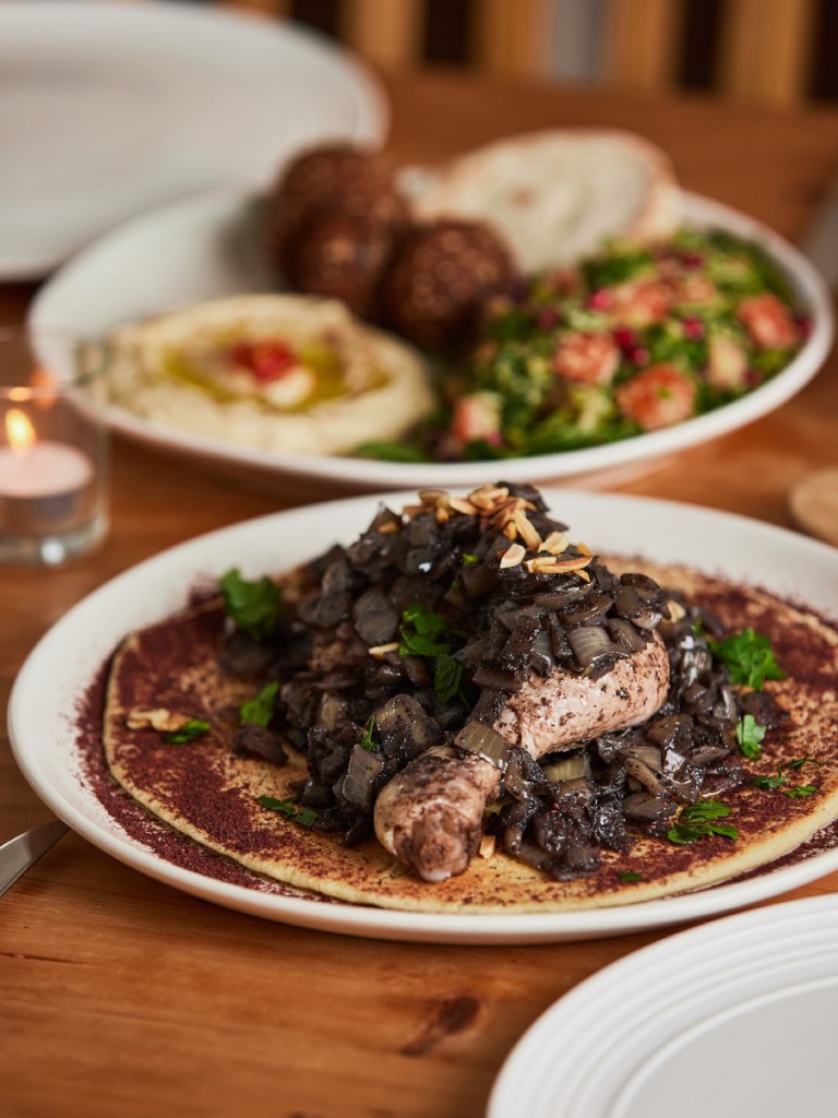 A plate with a chicken drumstick, with falafel and hommus in the background